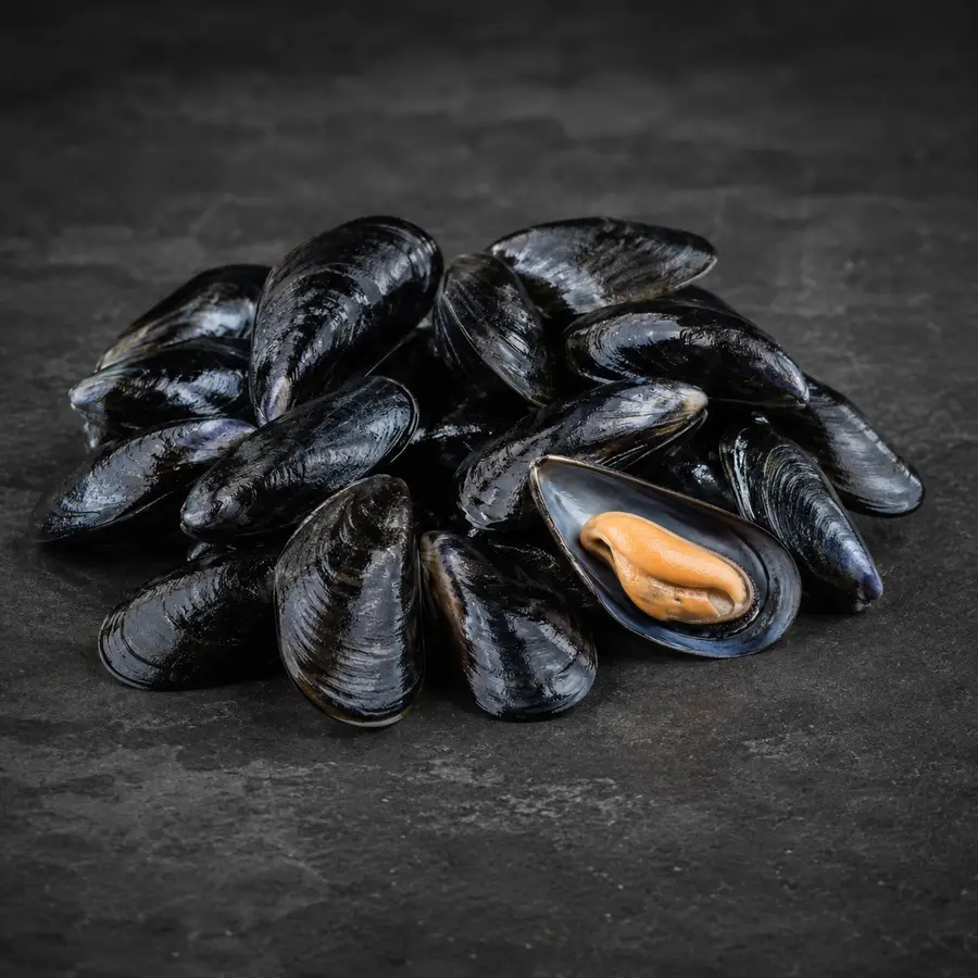 Mussels ingredient