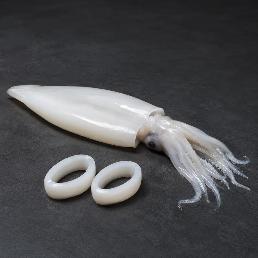 Squid ingredient